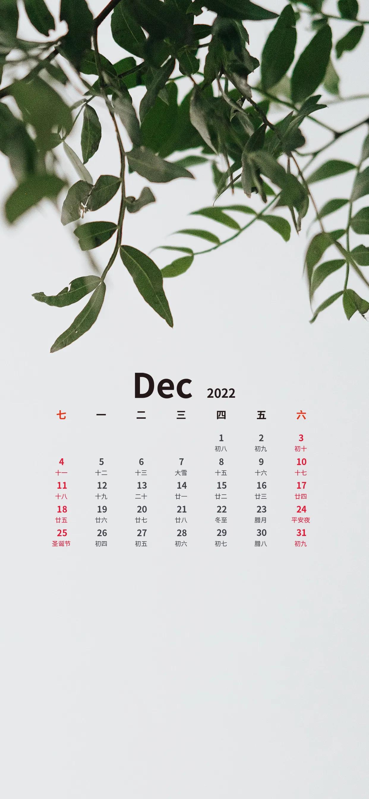 十二月日历壁纸,手机壁纸12月29日
