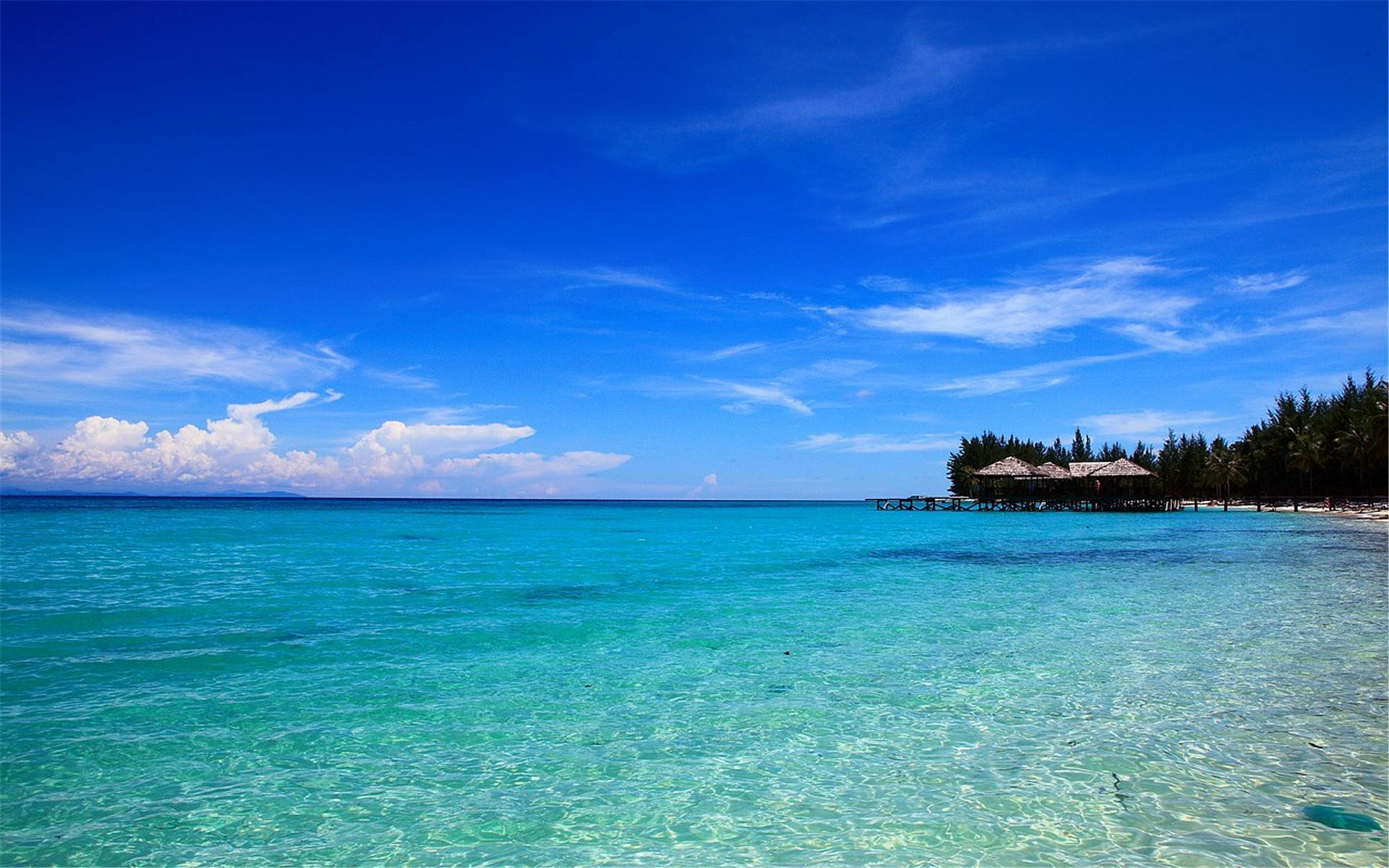 马来西亚十年居住签证费用,马来西亚养老签证申请条件