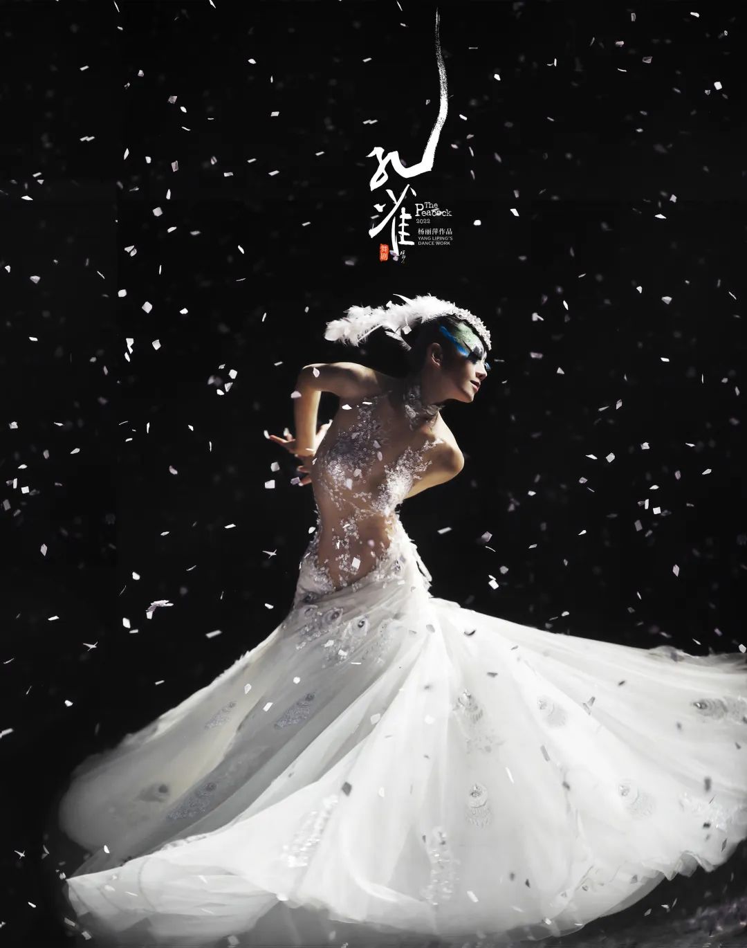 杨丽萍经典舞剧孔雀再飨津门,一生必看一次杨丽萍《孔雀》