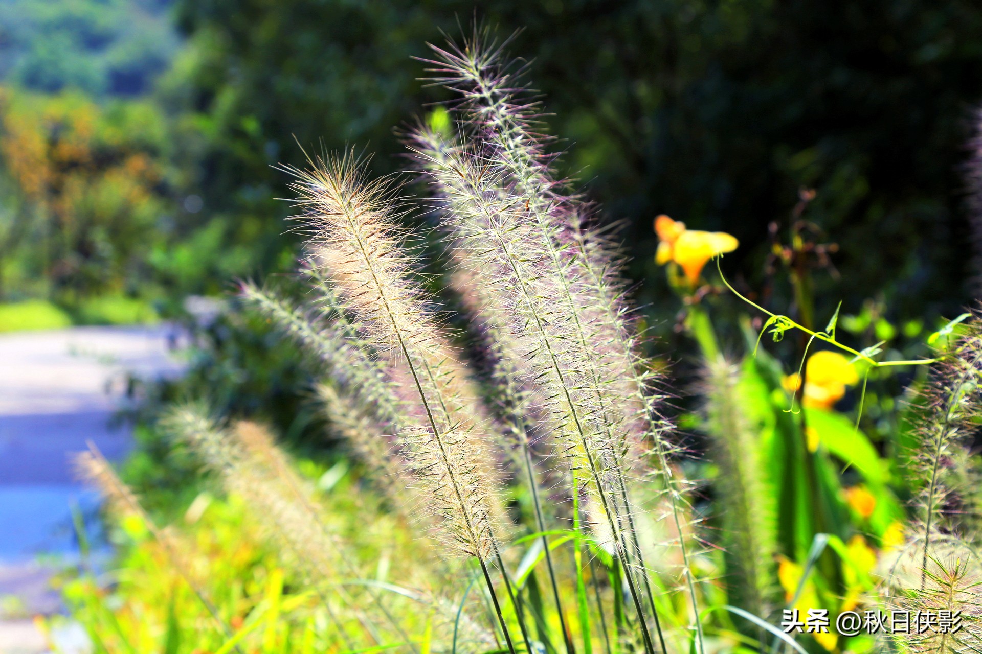 杭州市区天然氧吧旅游景点,杭州森林旅游推荐