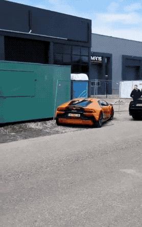 盘点被电鳗电死的人,鳄鱼咬住电鳗当场死亡