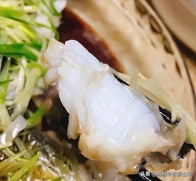 海岸线：邂逅*江阳**——感受这座慢节奏小城文化底蕴感悟人文之美