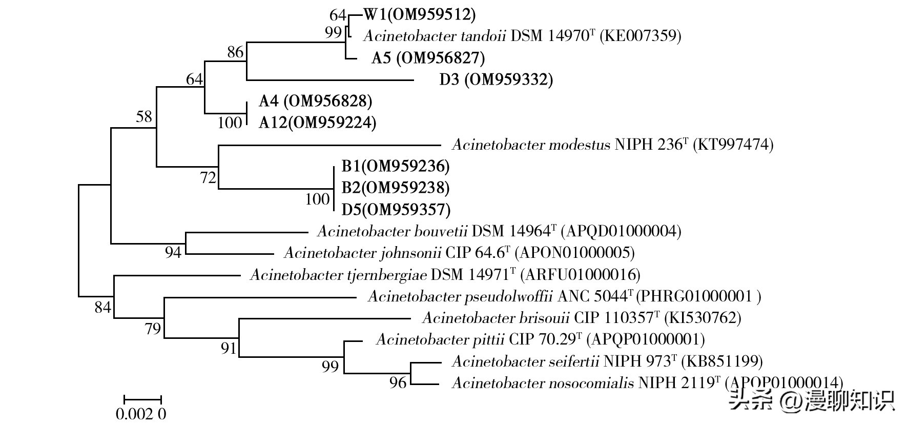 几丁质在水产的作用与功效,几丁质酶的本质