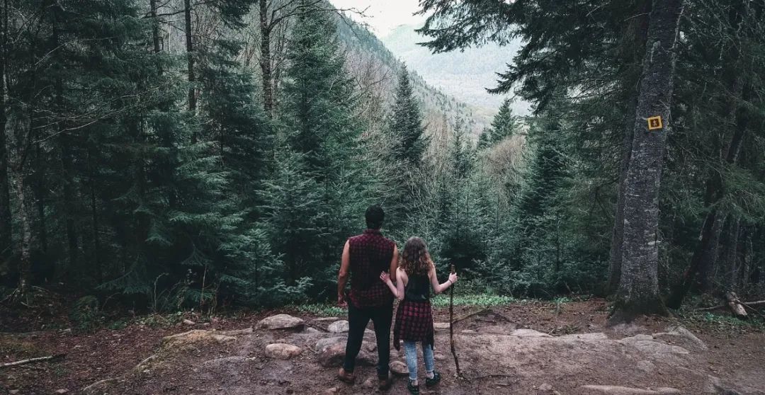 十二星座中最厉害的是天蝎跟摩羯,12星座的秘密摩羯天蝎