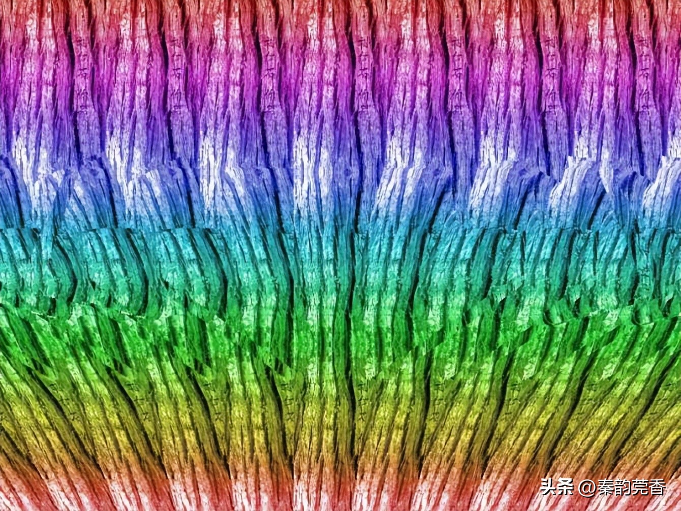 三维立体图能发现什么,三维立体图找隐藏图片