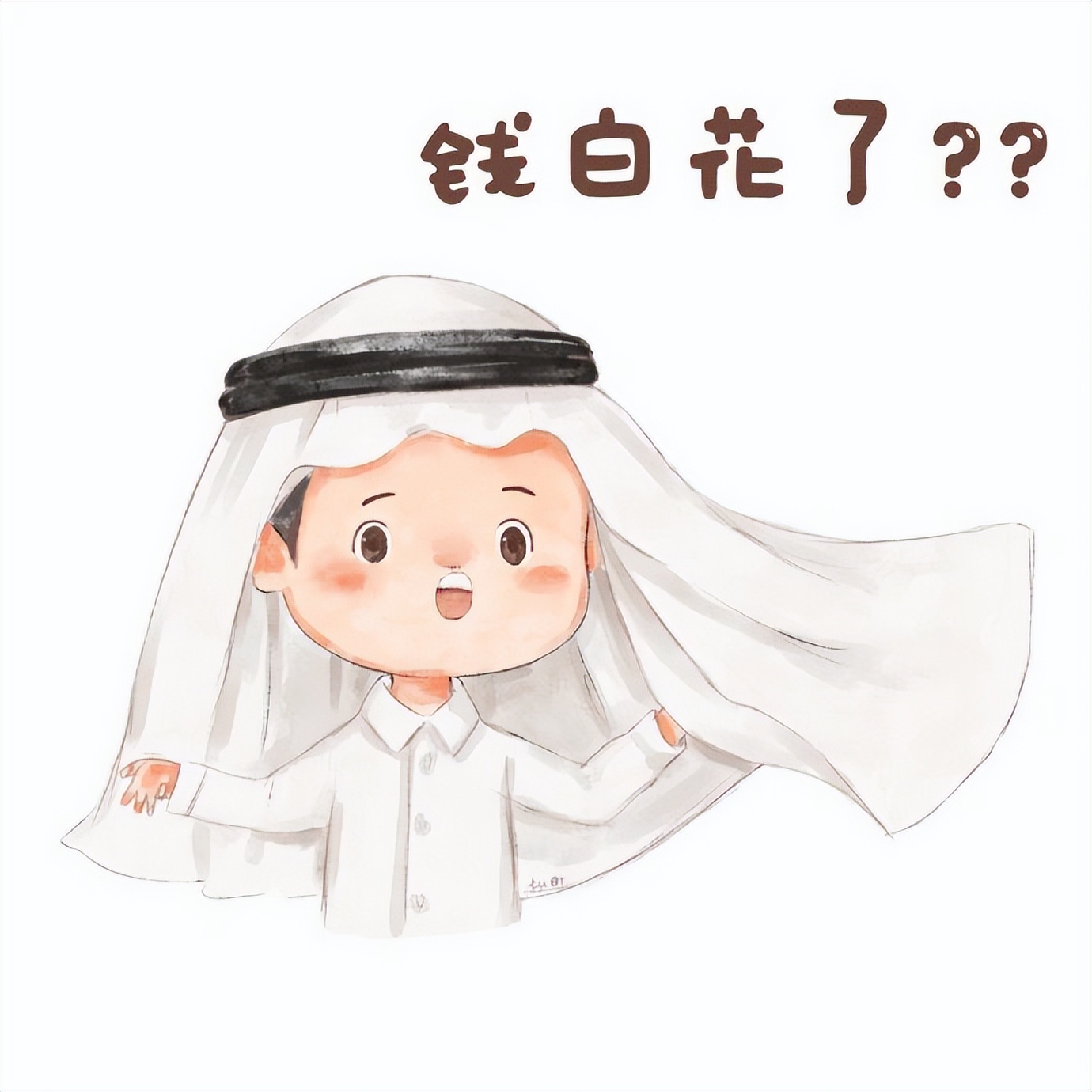 卡塔尔15岁小王子表情包,卡塔尔小王子气出表情包原视频