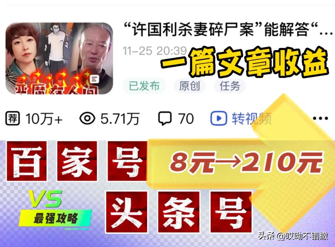 一篇文章收益达到100,一篇文章收益28000元