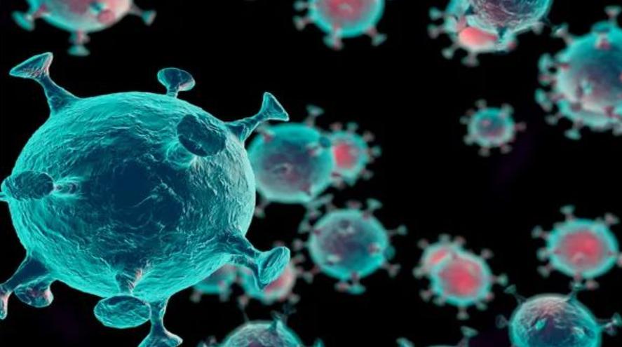 印度廉价新冠药品,新冠特效药在印度的售价