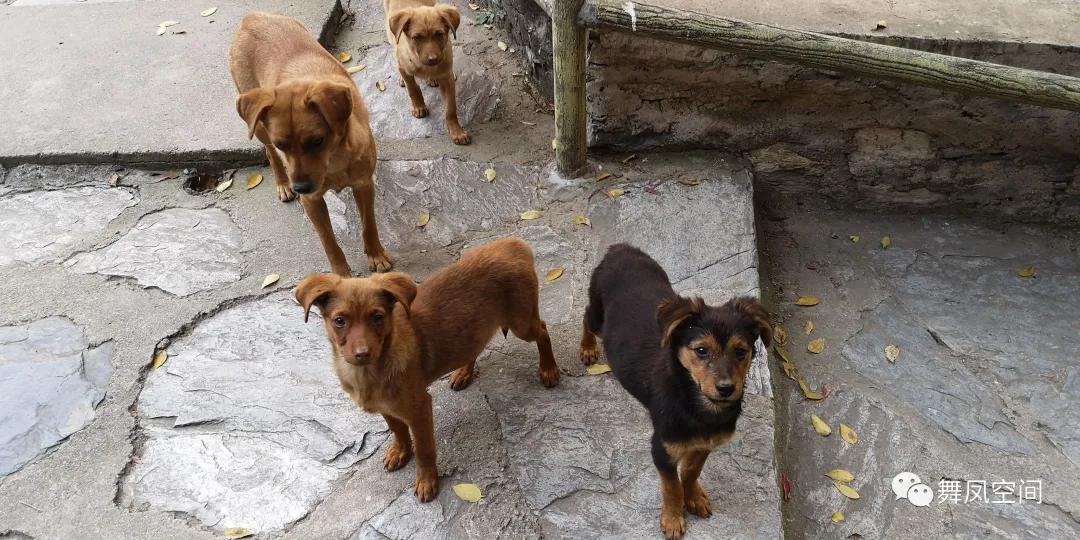 北京上方山千年古刹,上方山七十二个寺庙