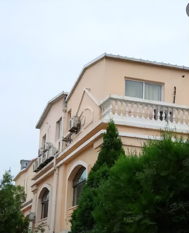 那英怒踹粉丝,那英当众踹粉丝惹争议