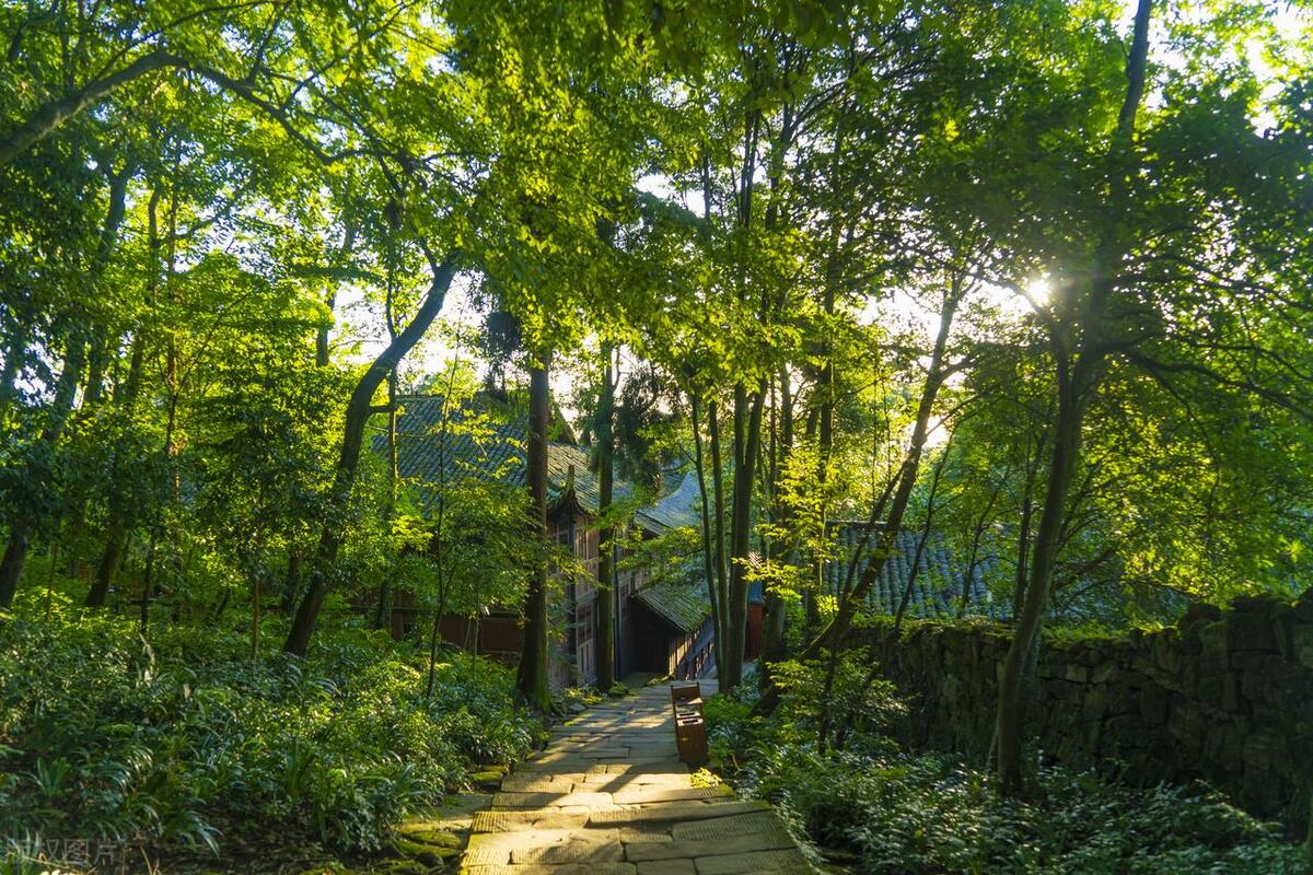 成都不用开车适合旅游的地方,成都旅游攻略必去十个地方自驾游