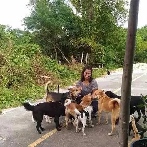 你不知道的国家冷门知识泰国,泰国旅游你不知道的那些事