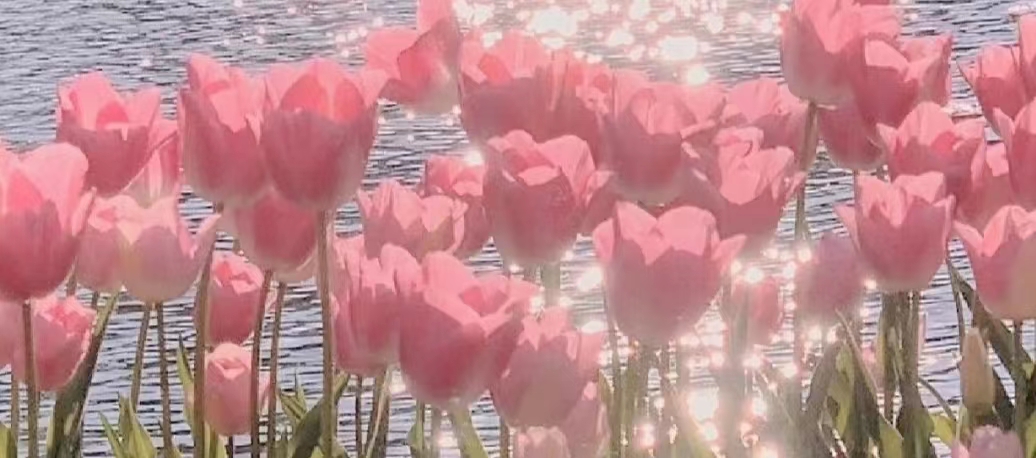 要开分店的公司怎么起名,准备开公司需要什么条件