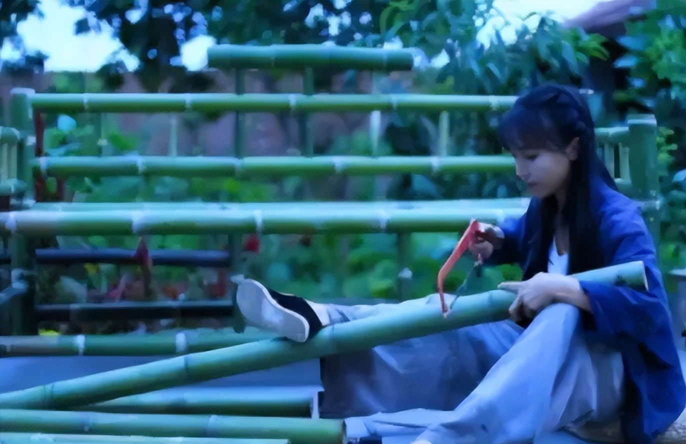 李子柒视频最新外网评论,李子柒最新视频外网评论