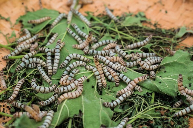 让人匪夷所思的婚外情事,那些令人匪夷所思的婚外情事39