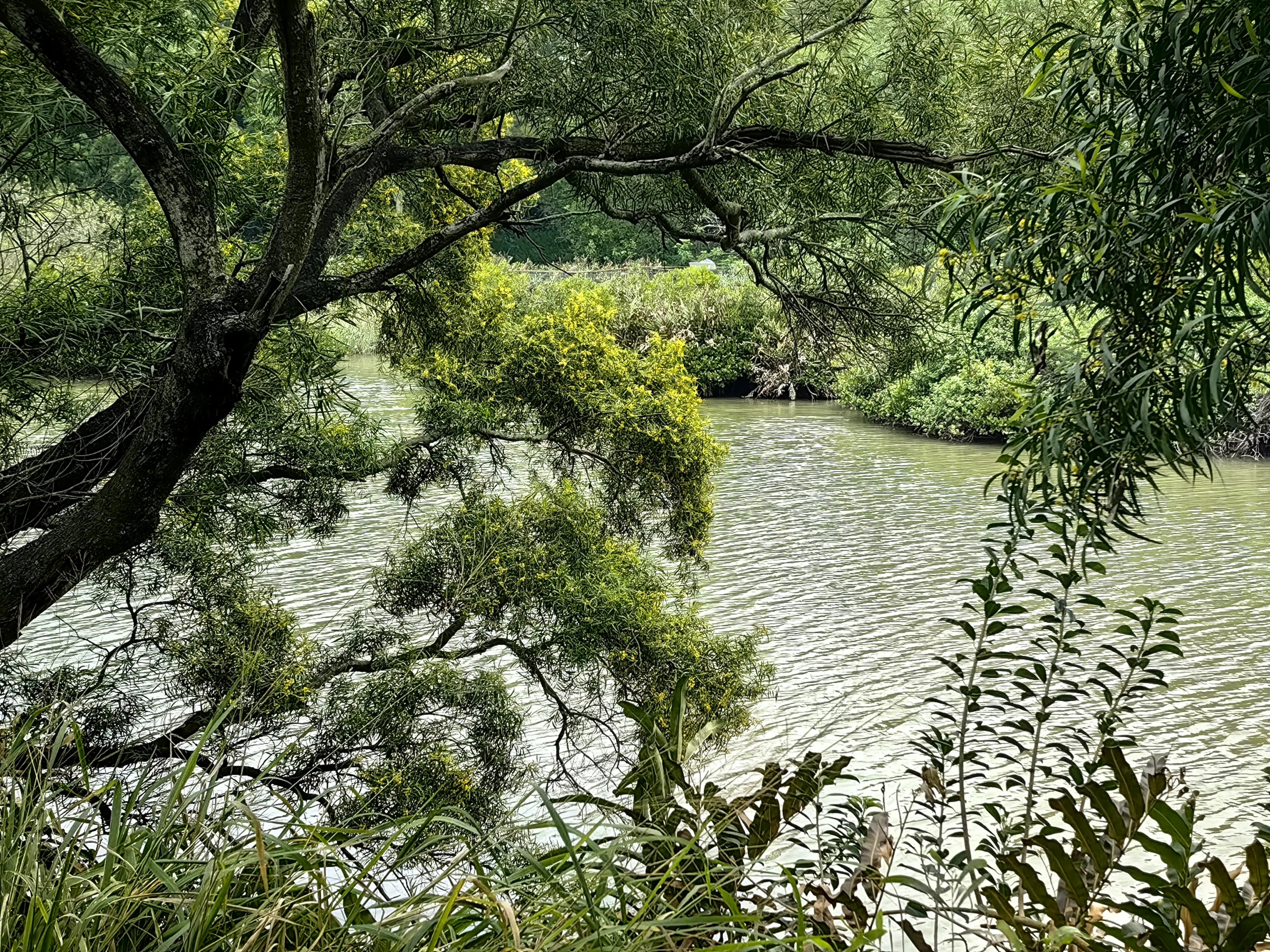 广东内伶仃岛福田国家级自然保护区,内伶仃岛福田自然保护区旅游