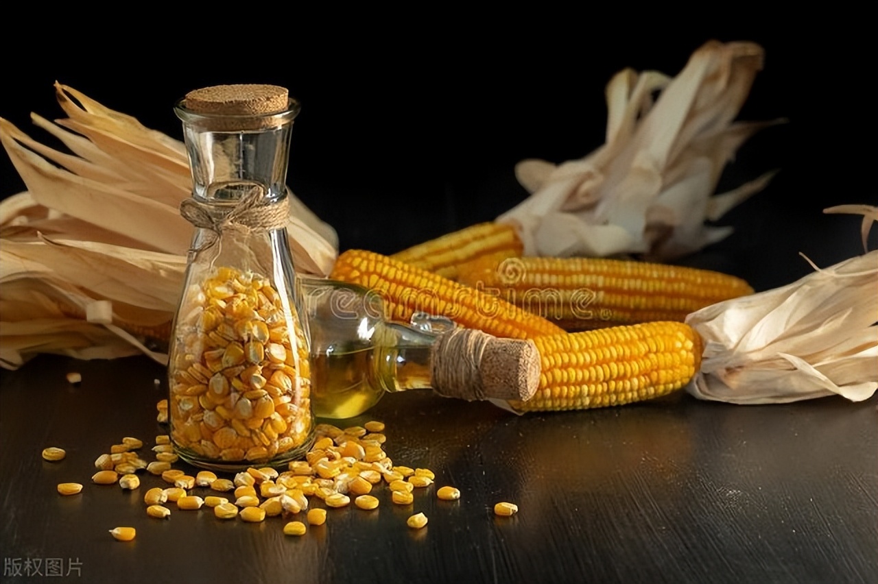 孕妇吃什么油最健康排行榜,一般孕妇应该吃什么油合适