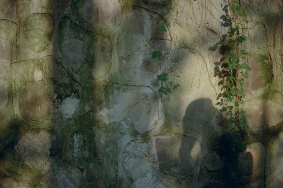 校园女同学校服写真,校服清纯照片