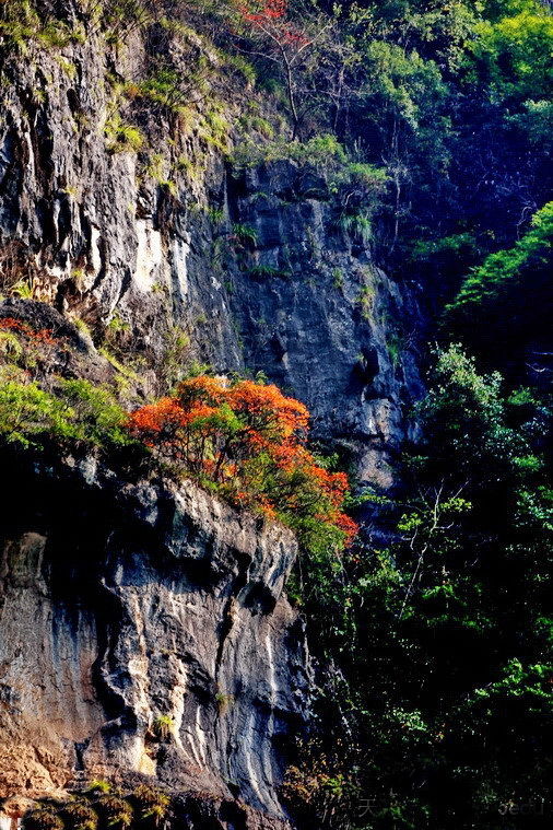 廿万公里六章，要看两岸猿声啼不住，只需要在大昌古镇150元租船