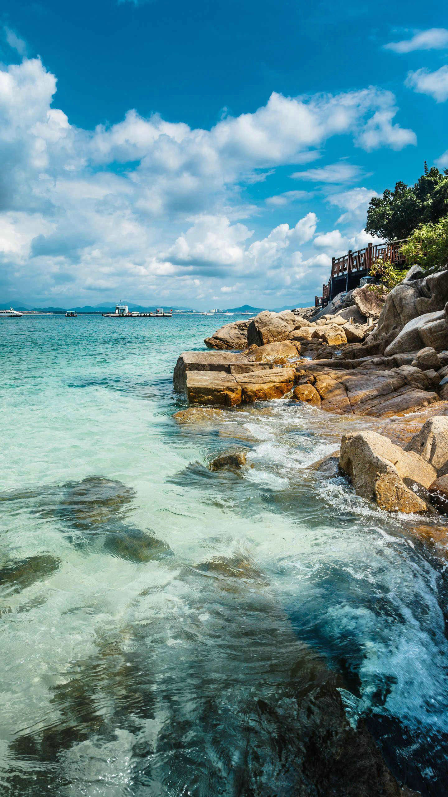 钟奋生每日分析,钟奋生每日一句话