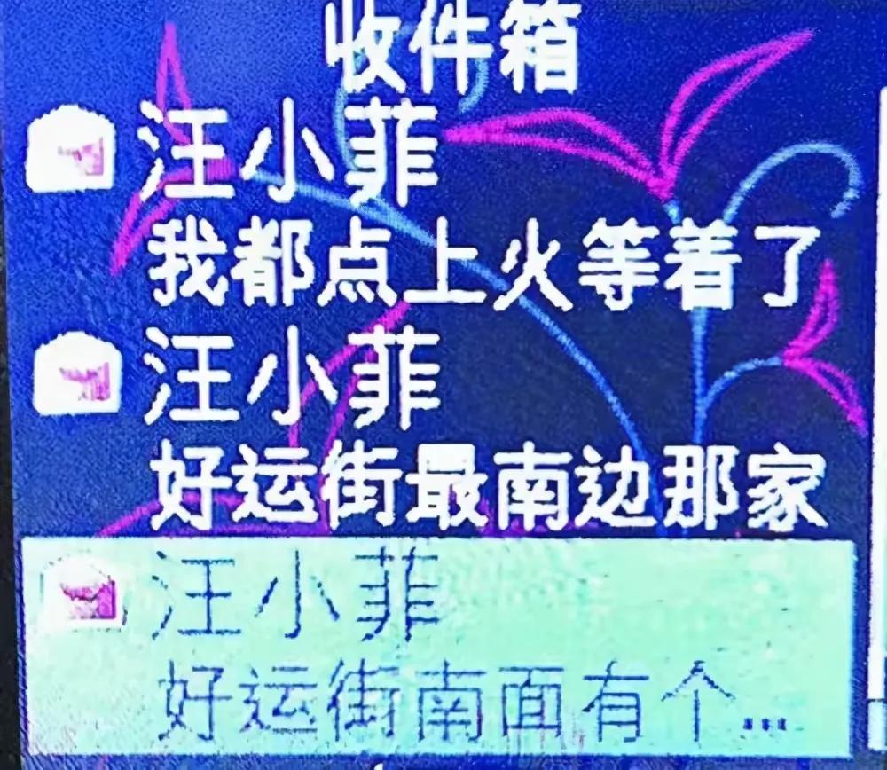 汪小菲张雨绮甜蜜时光,汪小菲安以轩结局