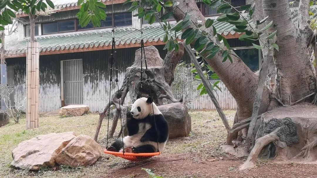 顺德附近好玩的地方一日游动物园,广东顺德长鹿动物园