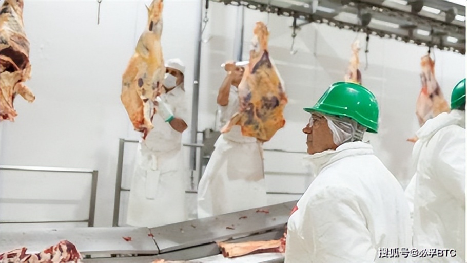 足球世界杯看球吃什么,足球世界杯菜品全面升级