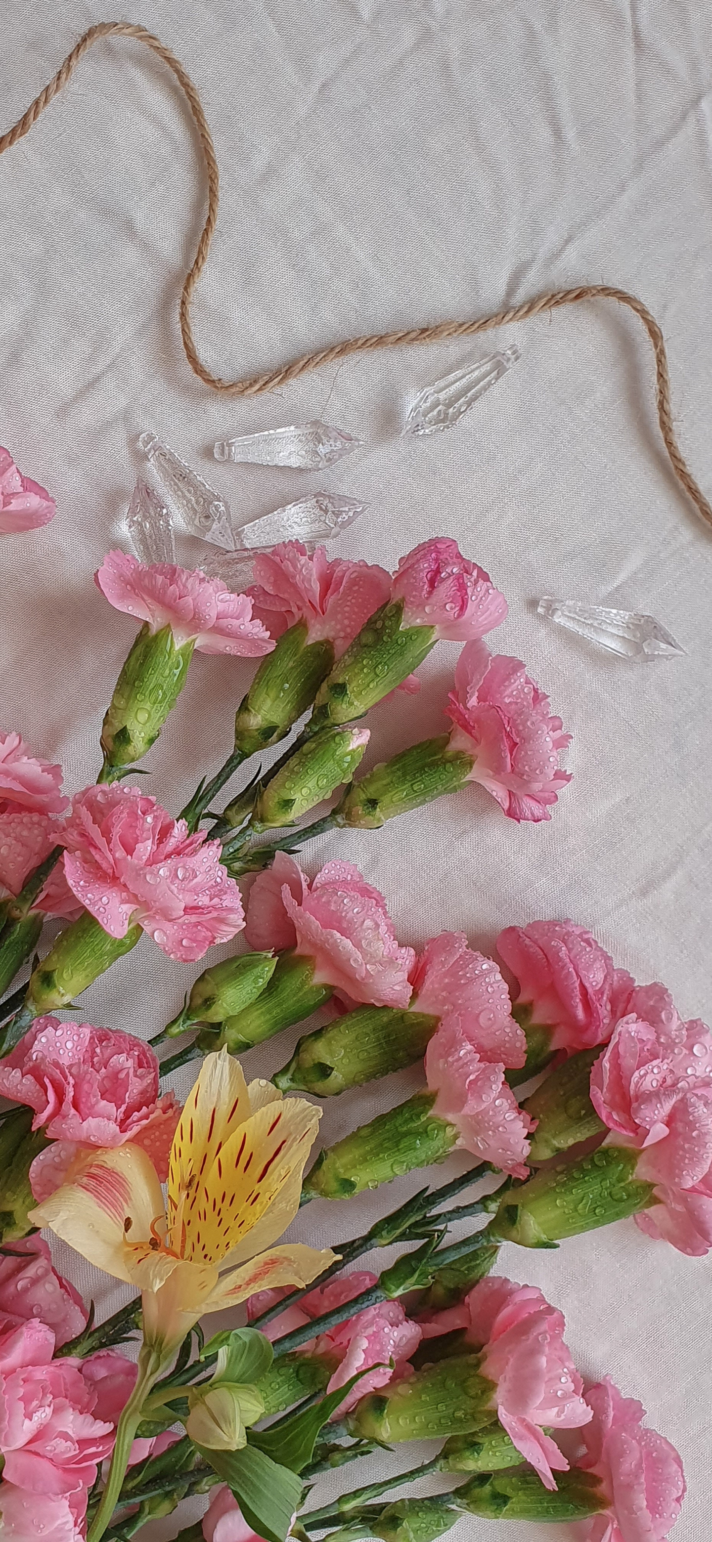 精选优质高清手机壁纸第十七期,好看的手机壁纸分享第二弹