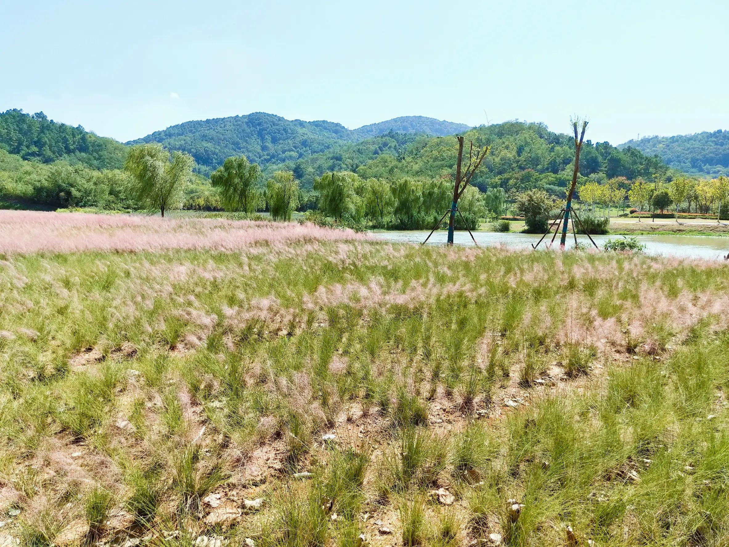 溧水无想山民宿预订,南京溧水无想山露营地点