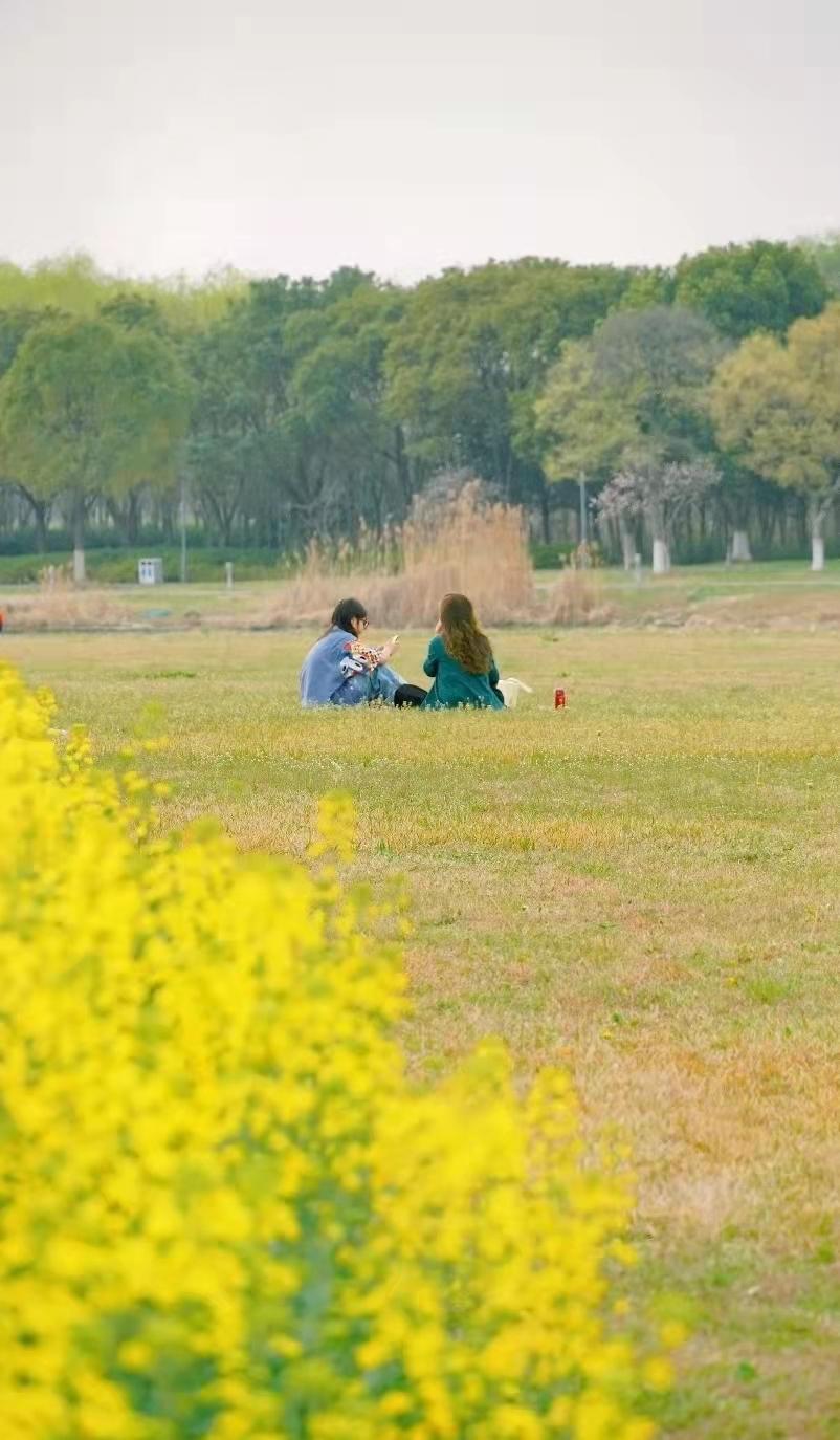 最美婺源油菜花跟风来一下,苏州自驾到婺源看油菜花的地方