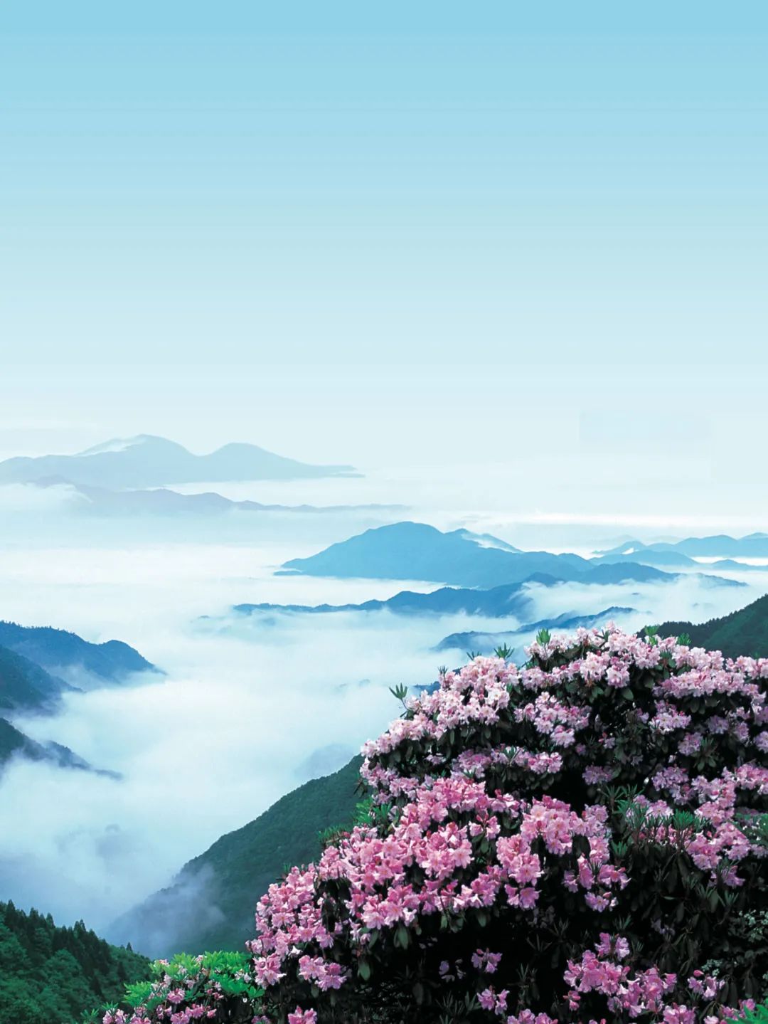 什么是天台,什么是天台记忆