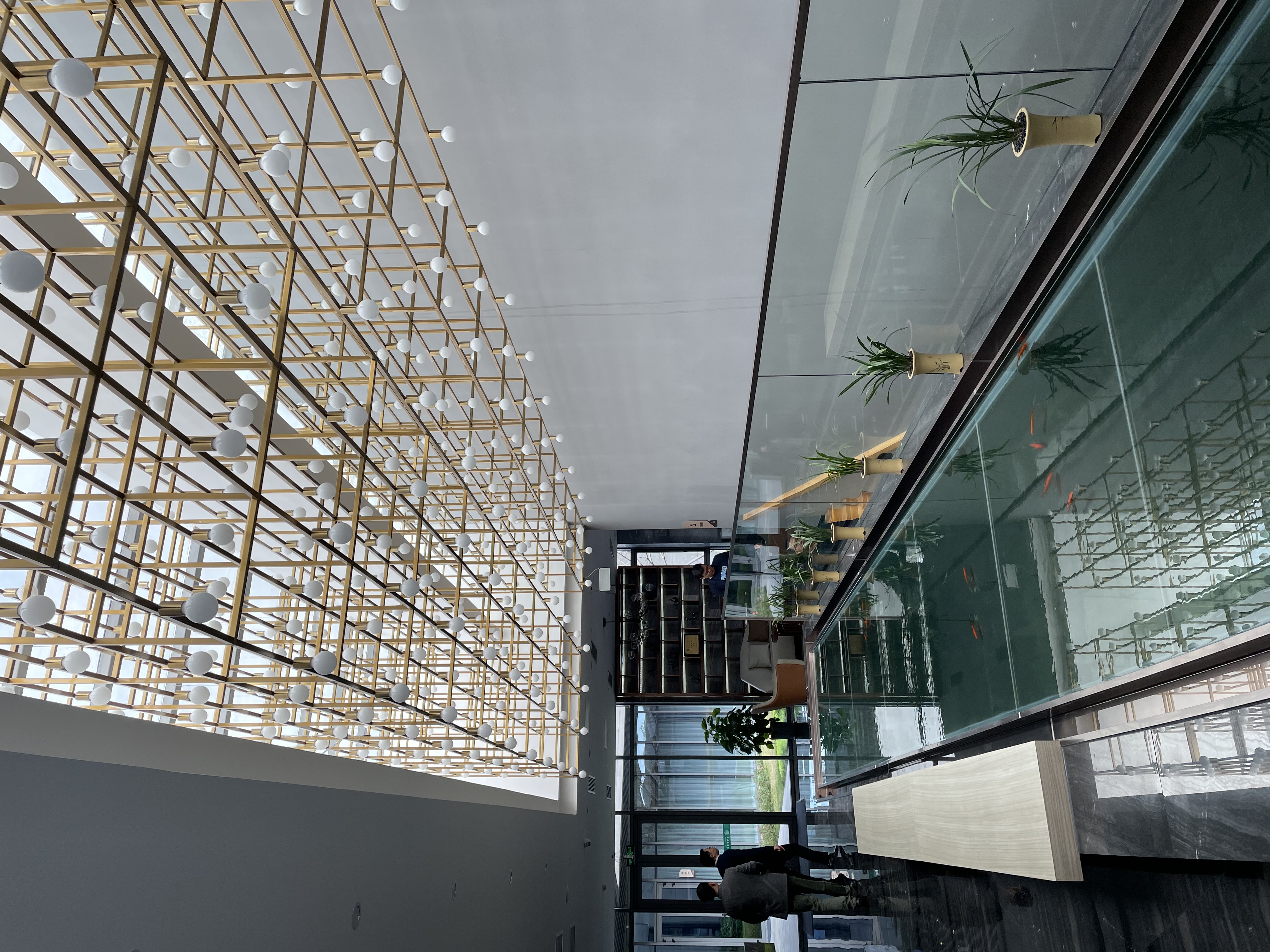 广东省即将开业的五星级酒店,广东新开业温泉酒店