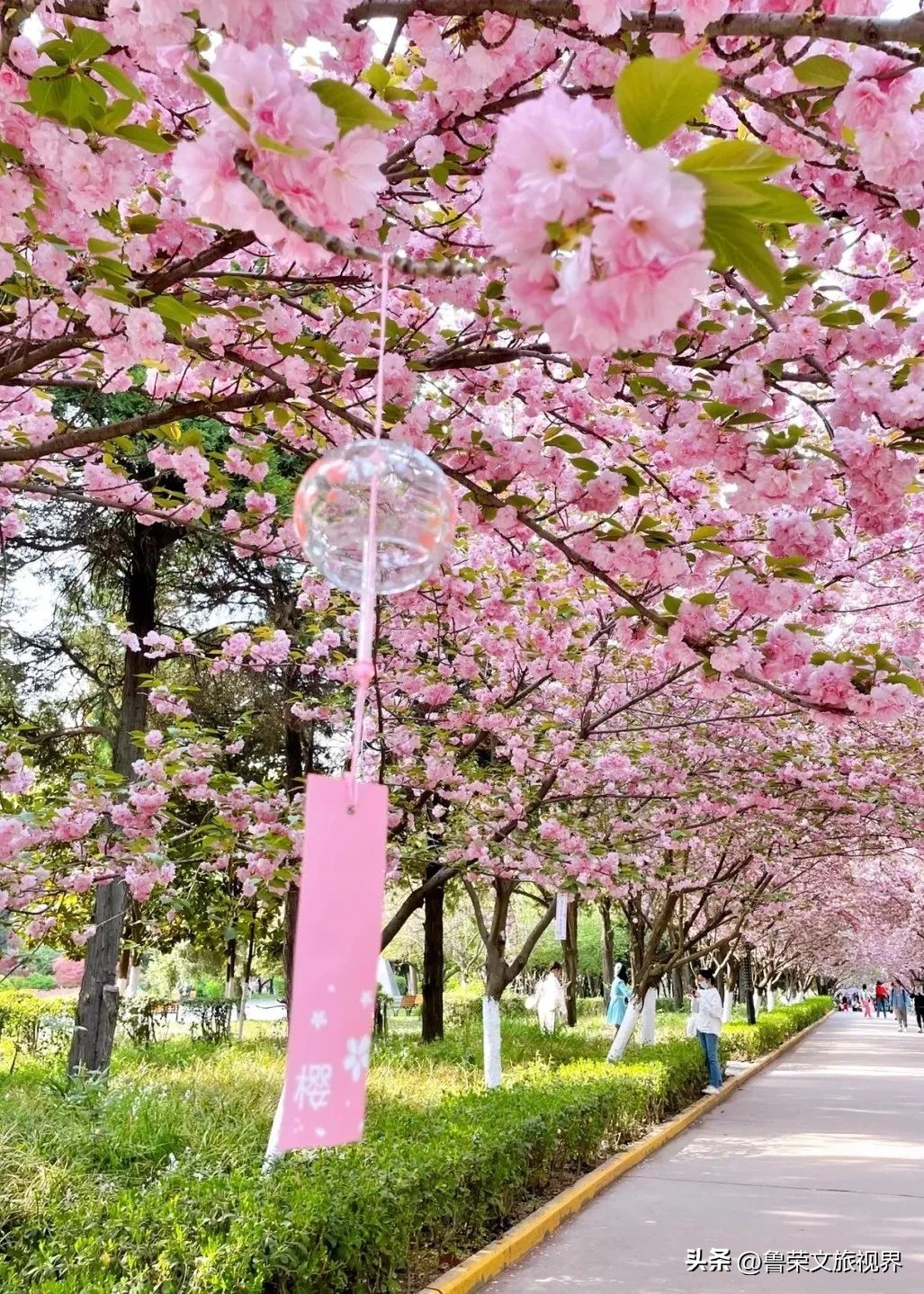 西安坐地铁旅游全攻略,西安半日游地铁