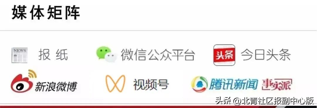 市直青•践|市直机关青联社会法治界别组织开展“法护青春健康用网”主题活动