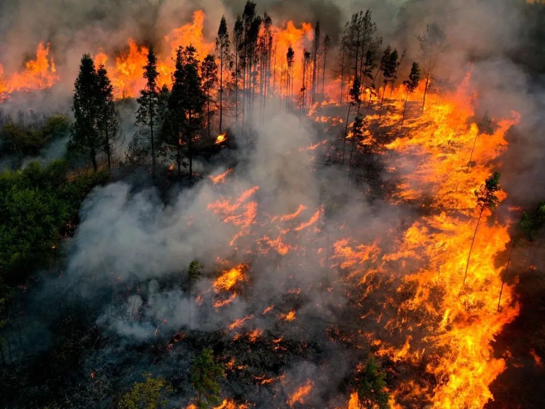 10秒，我的兄弟在火场牺牲……踩着战友搭成的人梯送他下山，我们想好了遗言