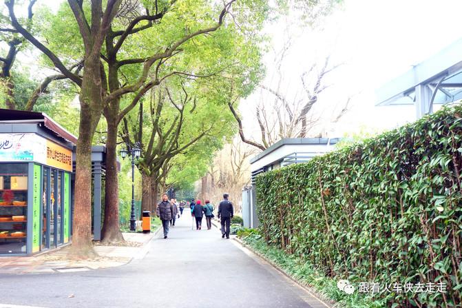 另一个方式看世界,鲁迅公园海边