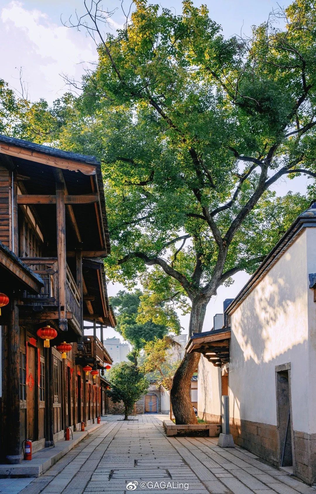 大v说福州,大v说大庆