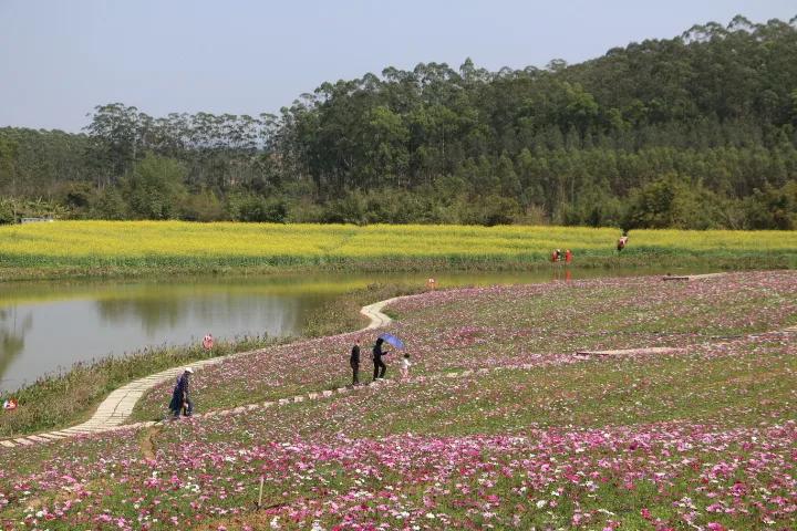 描写春天的姹紫嫣红的古诗,形容春天姹紫嫣红的诗句