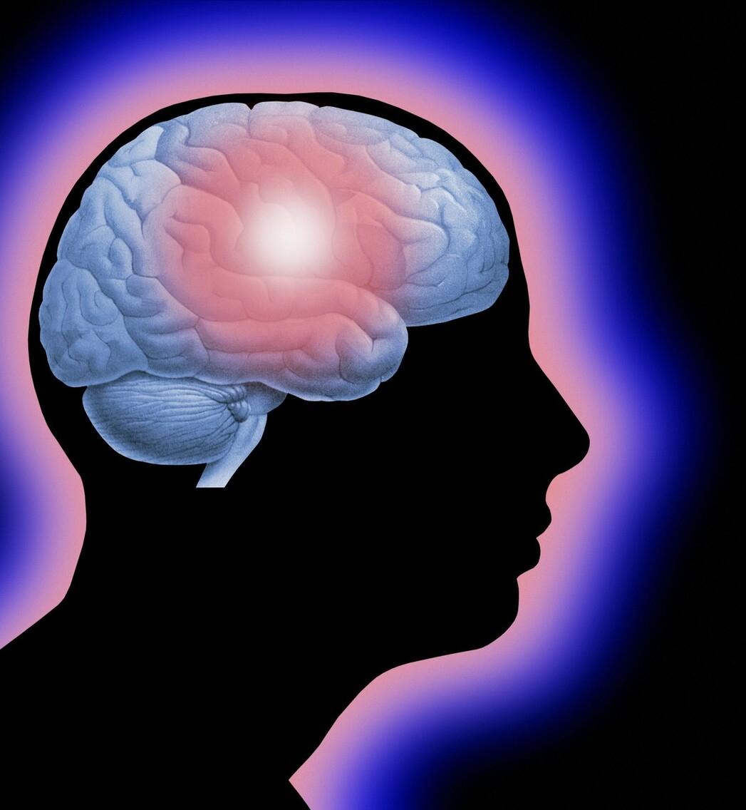 王力宏有心理疾病吗,王力宏心理病