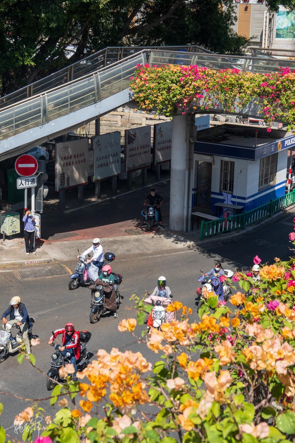 我的2022年度报告,我的2022原版