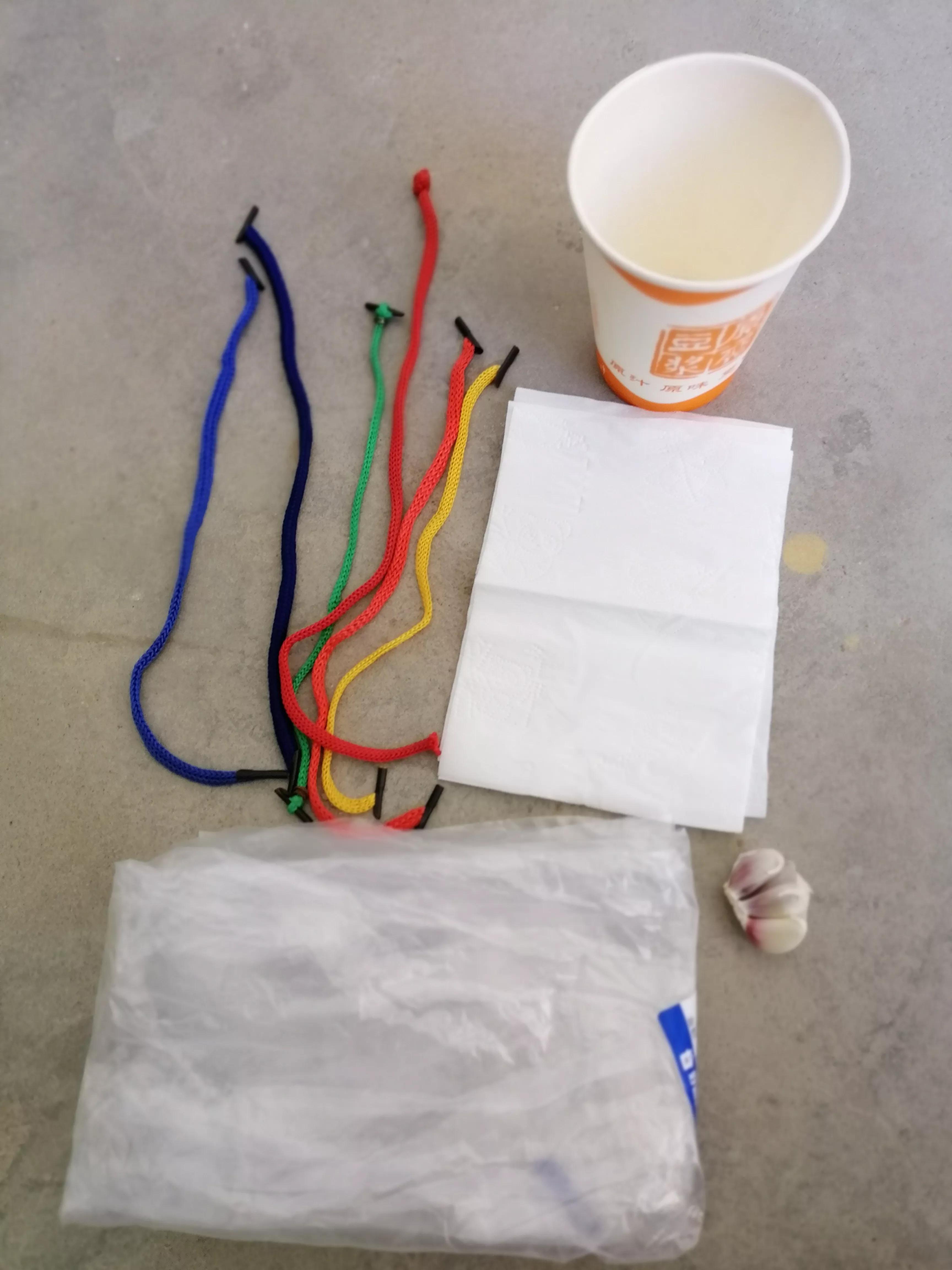 玫瑰花怎么压枝才容易成活,玫瑰花扦插方法最容易成活的