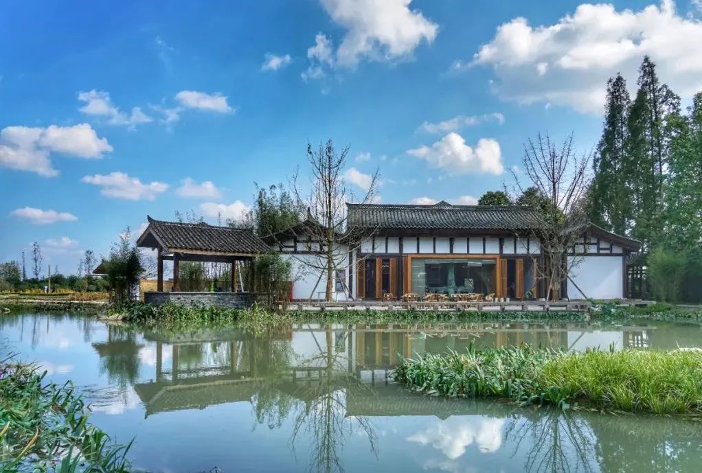 1.5h刹拢！被誉为川版“花城”，这个宝藏好耍地美得不像话