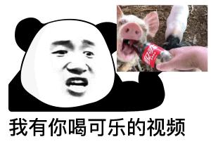 熊猫贴在墙上表情,震惊熊猫表情素材