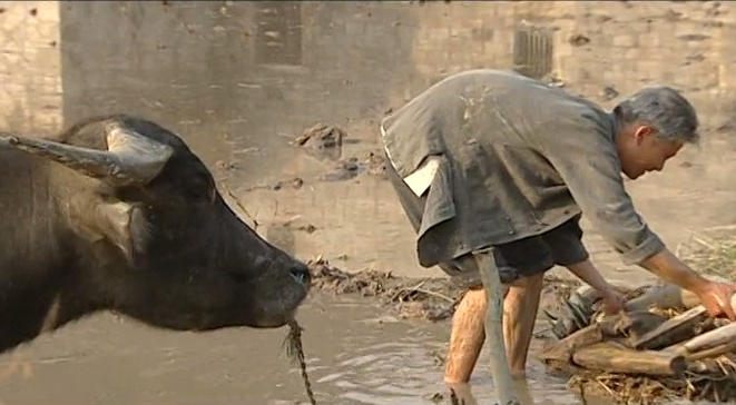 比父母爱情还好看的十部电视剧,9.8分经典老剧父母爱情