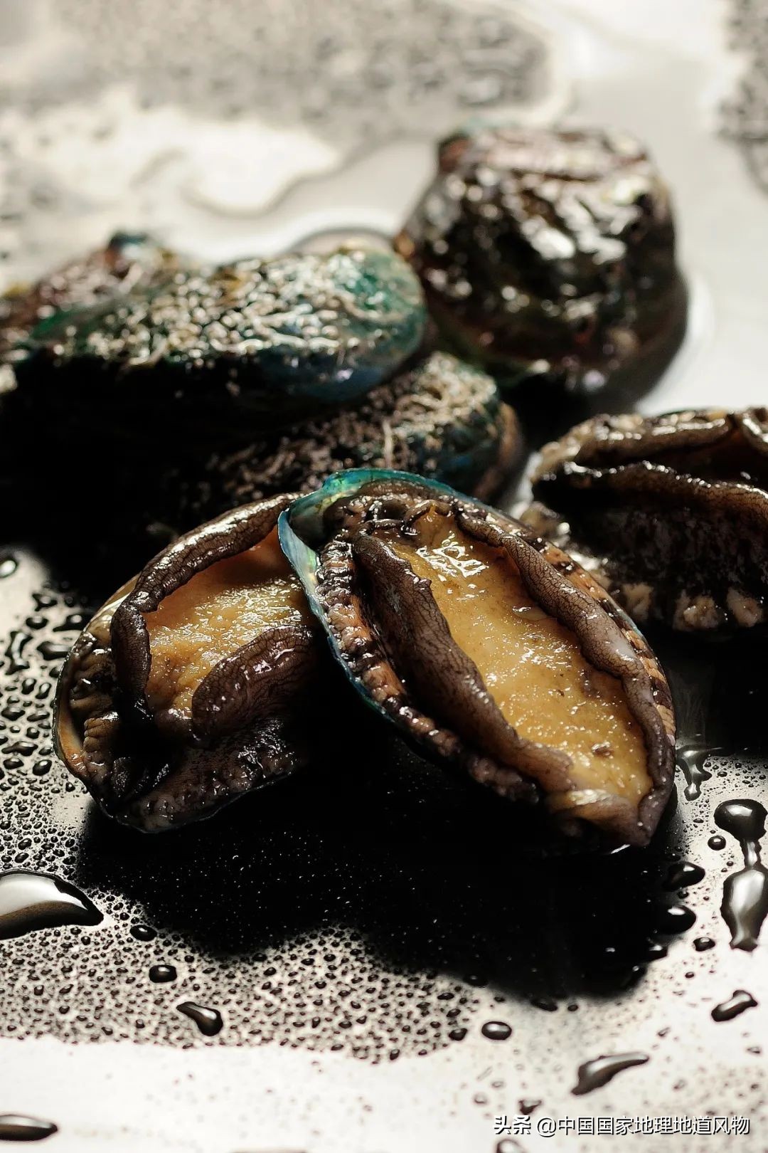 辽宁哪个地方的海鲜最好,辽宁各市都有啥海鲜