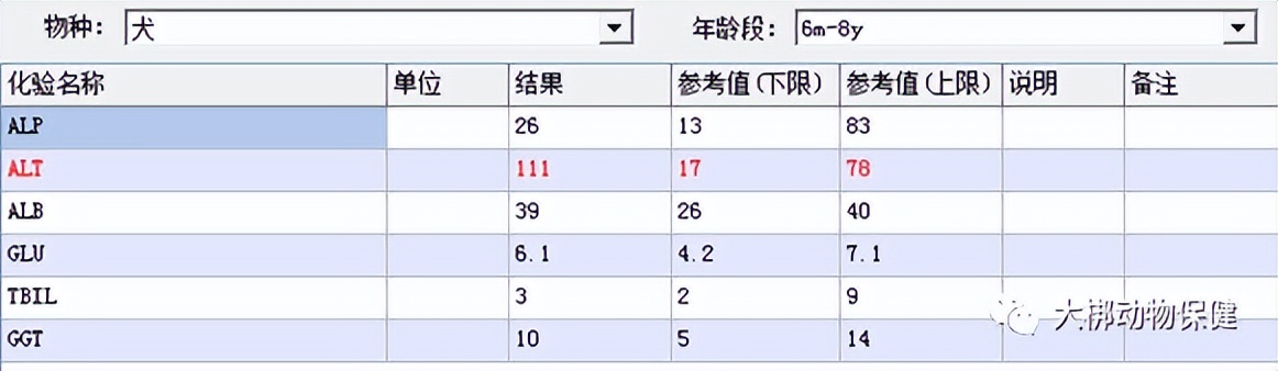 犬胆汁淤积肝炎,狗狗肝腹水治好案例