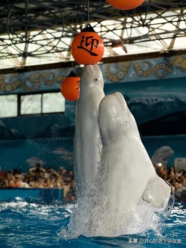 鍝堝皵婊ㄦ瀬鍦伴娓哥帺鏀荤暐,鍝堝皵婊ㄦ瀬鍦伴娴锋磱涔嬪績