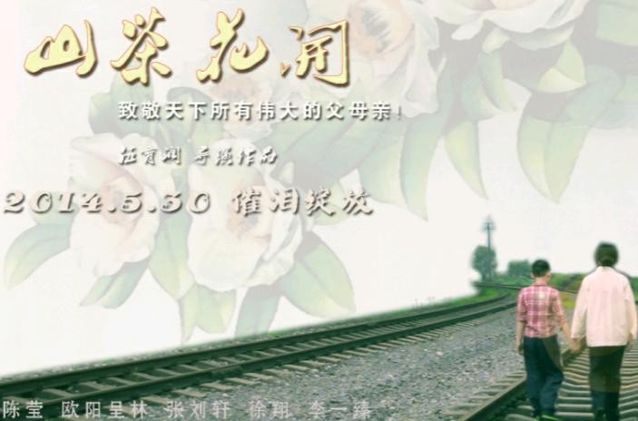 最敬业的十大明星拍吻戏不用替身,盘点拍戏不用替身的四位女明星