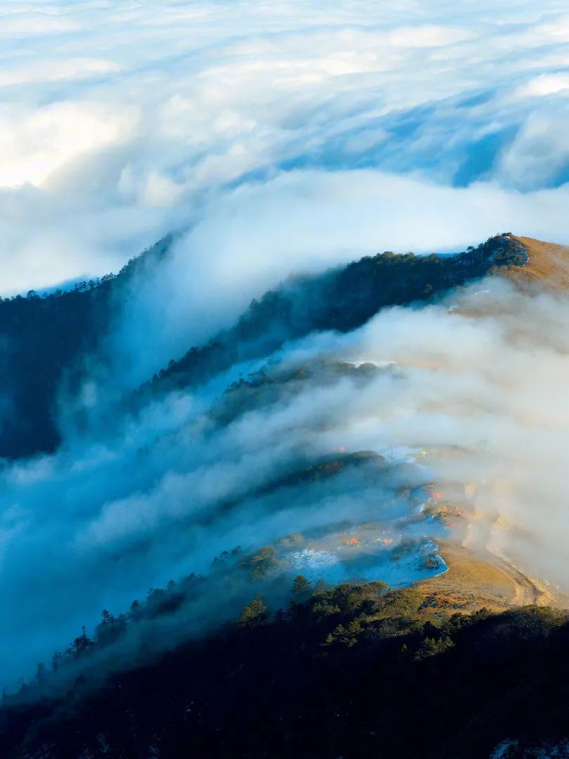 美酒成都,成都的美酒