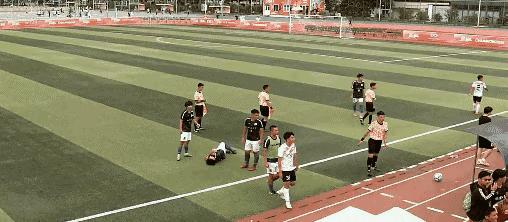 川大打人事件,成都体育学院打人后续处理